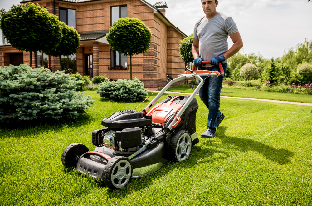 Entretien de la pelouse au printemps